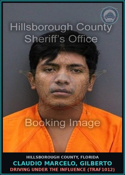 CCW arrest card for CLAUDIO MARCELO, GILBERTO in Hillsborough County: DRIVING UNDER THE INFLUENCE (TRAF1012)