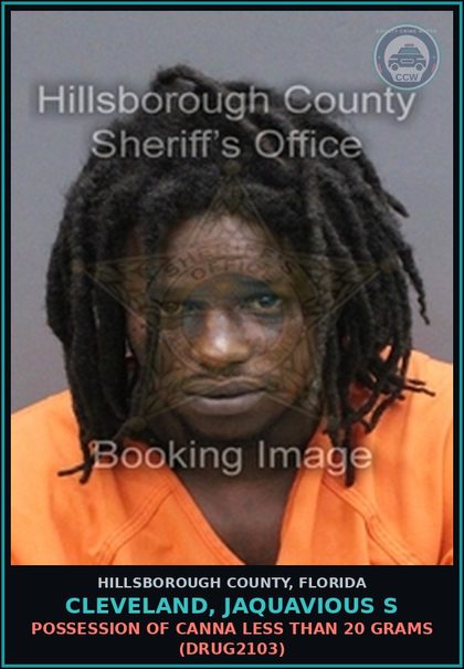 CCW arrest card for CLEVELAND, JAQUAVIOUS S in Hillsborough County: CRIMINAL MISCHIEF $200 OR LESS (CRMS1000)