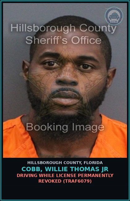 CCW arrest card for COBB, WILLIE THOMAS JR in Hillsborough County: DRIVING WHILE LICENSE PERMANENTLY REVOKED (TRAF6079)