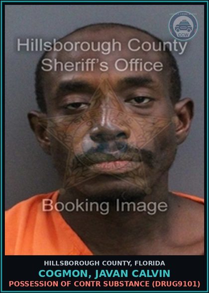 CCW arrest card for COGMON, JAVAN CALVIN in Hillsborough County: POSSESSION OF contr substance (DRUG9101)
