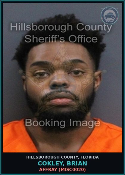 CCW arrest card for COKLEY, BRIAN in Hillsborough County: AFFRAY (MISC0020)
