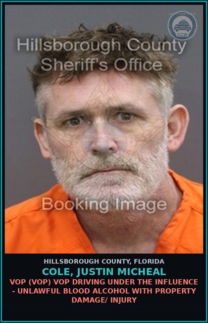 CCW arrest card for COLE, JUSTIN MICHEAL in Hillsborough County: VOP (VOP) VOP DRIVING UNDER THE INFLUENCE - UNLAWFUL BLOOD ALCOHOL WITH PROPERTY DAMAGE/ INJURY