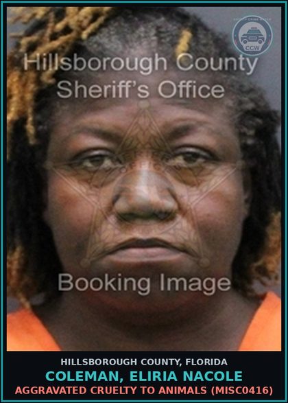 CCW arrest card for COLEMAN, ELIRIA NACOLE in Hillsborough County: AGGRAVATED CRUELTY TO ANIMALS (MISC0416)