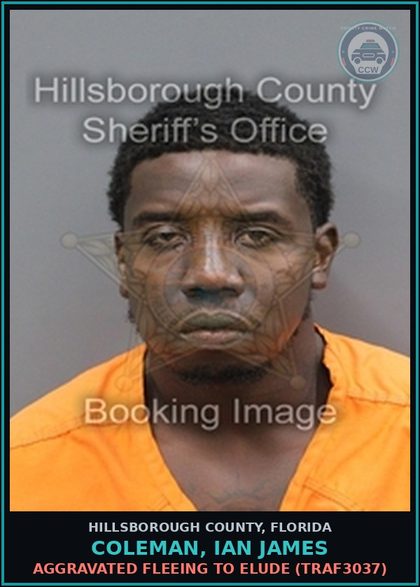 CCW arrest card for COLEMAN, IAN JAMES in Hillsborough County: AGGRAVATED FLEEING TO ELUDE (TRAF3037)