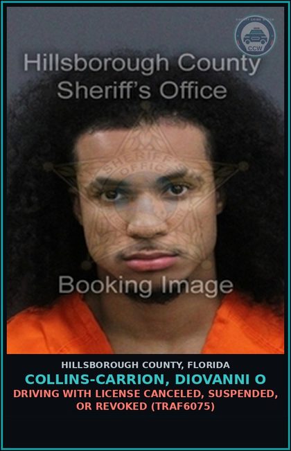 CCW arrest card for COLLINS-CARRION, DIOVANNI O in Hillsborough County: DRIVING WITH LICENSE CANCELED, SUSPENDED, OR REVOKED (TRAF6075)