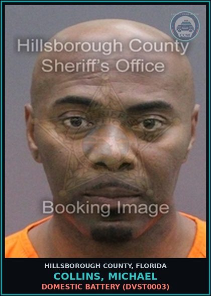 CCW arrest card for COLLINS, MICHAEL in Hillsborough County: DOMESTIC BATTERY (DVST0003)