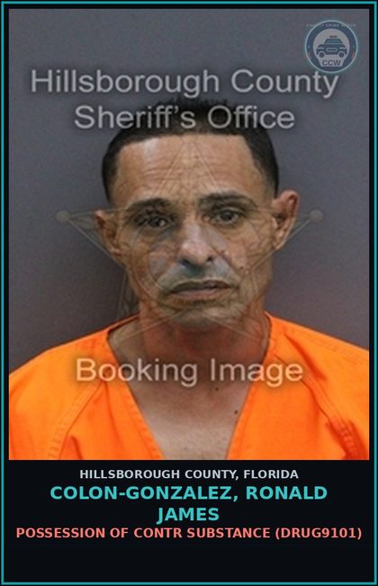 CCW arrest card for COLON-GONZALEZ, RONALD JAMES in Hillsborough County: POSSESSION OF contr substance (DRUG9101)