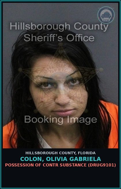 CCW arrest card for COLON, OLIVIA GABRIELA in Hillsborough County: POSSESSION OF contr substance (DRUG9101)