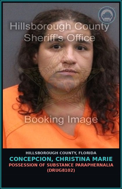 CCW arrest card for CONCEPCION, CHRISTINA MARIE in Hillsborough County: POSSESSION OF DRUG PARAPHERNALIA (DRUG8102)