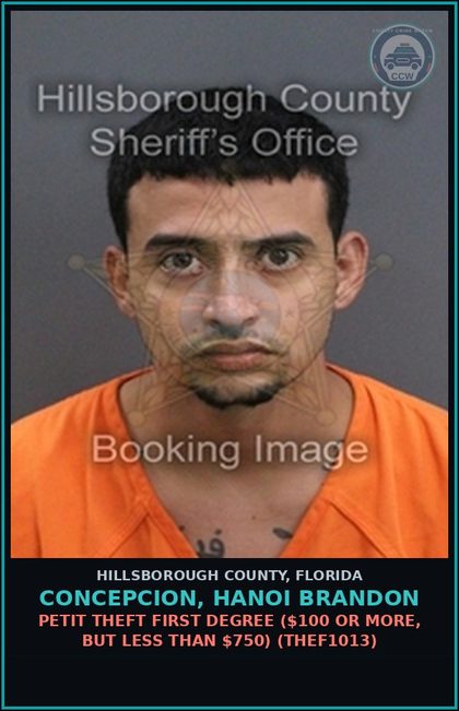 CCW arrest card for CONCEPCION, HANOI BRANDON in Hillsborough County: PETIT THEFT FIRST DEGREE ($100 OR MORE, BUT LESS THAN $750) (THEF1013)