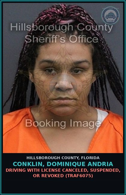 CCW arrest card for CONKLIN, DOMINIQUE ANDRIA in Hillsborough County: DRIVING WITH LICENSE CANCELED, SUSPENDED, OR REVOKED (TRAF6075)