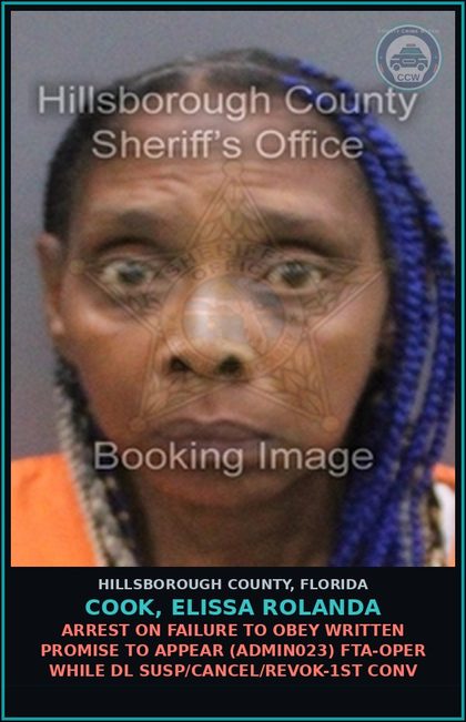 CCW arrest card for COOK, ELISSA ROLANDA in Hillsborough County: ARREST ON FAILURE TO OBEY WRITTEN PROMISE TO APPEAR (ADMIN023) FTA-OPER WHILE DL SUSP/CANCEL/REVOK-1ST CONV