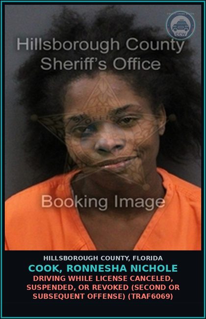 CCW arrest card for COOK, RONNESHA NICHOLE in Hillsborough County: DRIVING WHILE LICENSE CANCELED, SUSPENDED, OR REVOKED (SECOND OR SUBSEQUENT OFFENSE) (TRAF6069)