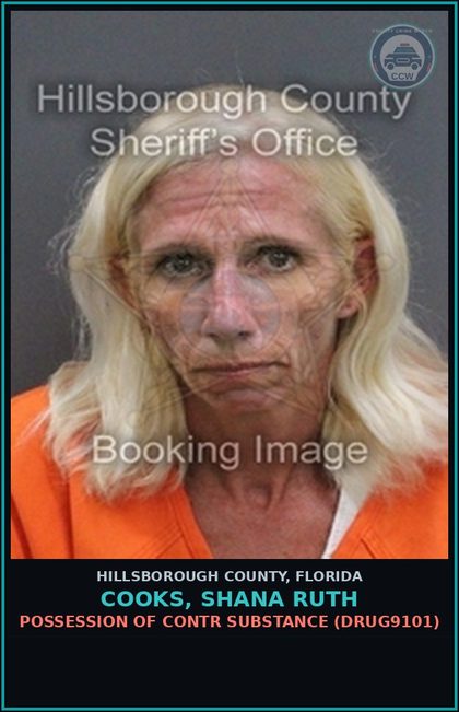 CCW arrest card for COOKS, SHANA RUTH in Hillsborough County: POSSESSION OF contr substance (DRUG9101)