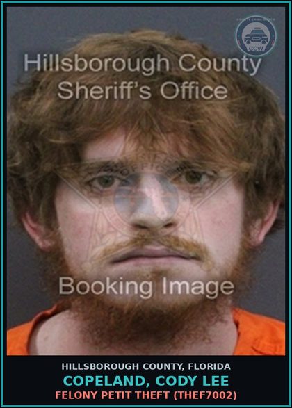 CCW arrest card for COPELAND, CODY LEE in Hillsborough County: FELONY PETIT THEFT (THEF7002)