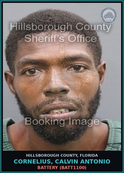CCW arrest card for CORNELIUS, CALVIN ANTONIO in Hillsborough County: BATTERY (BATT1100)