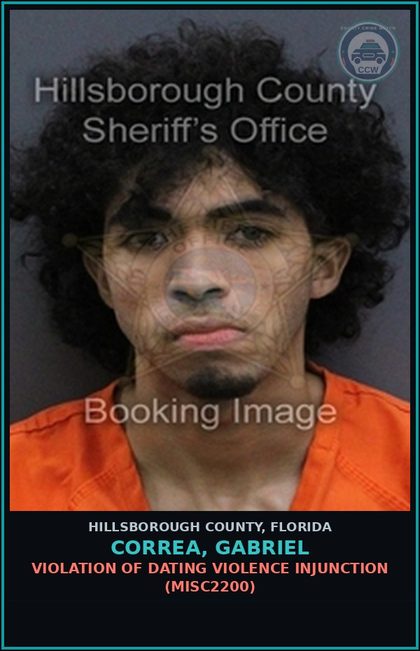 CCW arrest card for CORREA, GABRIEL in Hillsborough County: VIOLATION OF DATING VIOLENCE INJUNCTION (MISC2200)