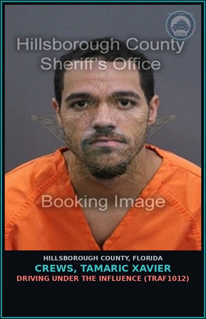 CCW arrest card for CREWS, TAMARIC XAVIER in Hillsborough County: DRIVING UNDER THE INFLUENCE (TRAF1012)