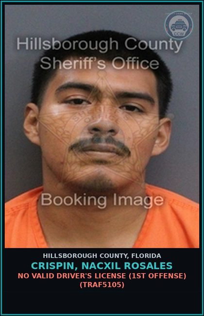 CCW arrest card for CRISPIN, NACXIL ROSALES in Hillsborough County: NO VALID DRIVER'S LICENSE (1ST OFFENSE) (TRAF5105)