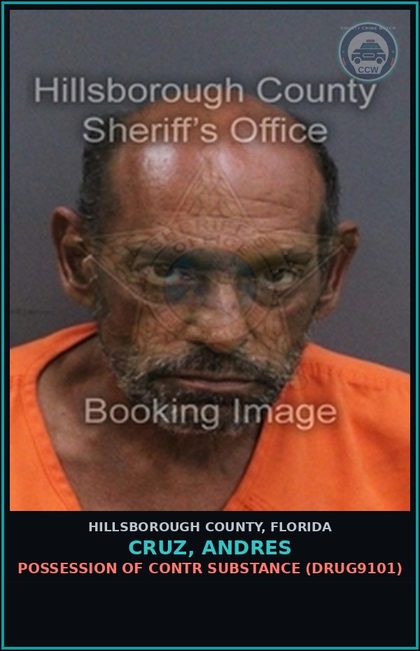 CCW arrest card for CRUZ, ANDRES in Hillsborough County: POSSESSION OF contr substance (DRUG9101)