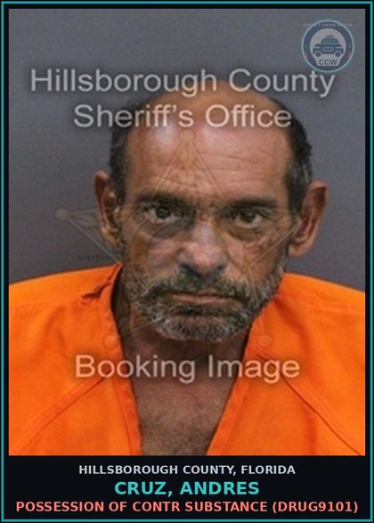CCW arrest card for CRUZ, ANDRES in Hillsborough County: POSSESSION OF contr substance (DRUG9101)
