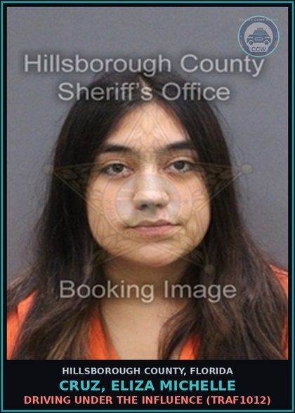 CCW arrest card for CRUZ, ELIZA MICHELLE in Hillsborough County: DRIVING UNDER THE INFLUENCE (TRAF1012)