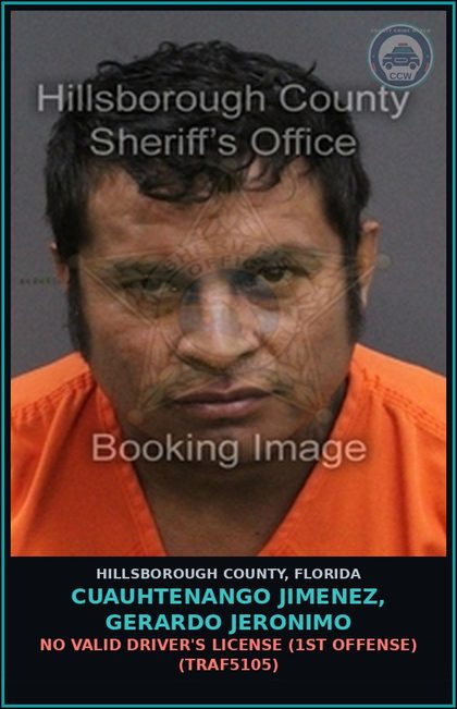 CCW arrest card for CUAUHTENANGO JIMENEZ, GERARDO JERONIMO in Hillsborough County: NO VALID DRIVER'S LICENSE (1ST OFFENSE) (TRAF5105)