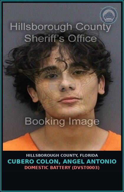 CCW arrest card for CUBERO COLON, ANGEL ANTONIO in Hillsborough County: DOMESTIC BATTERY (DVST0003)
