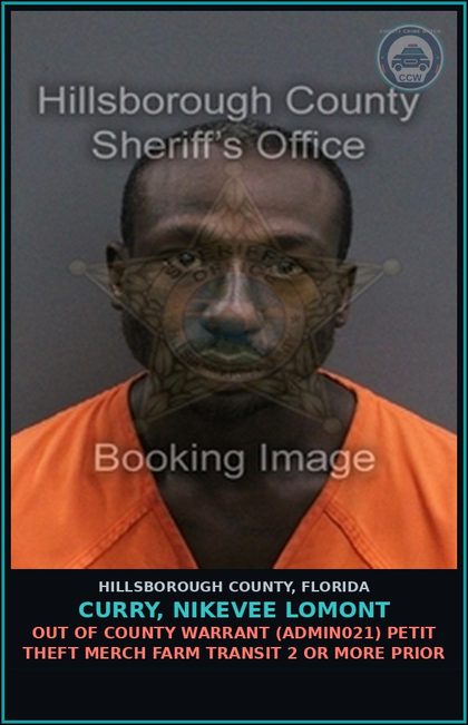 CCW arrest card for CURRY, NIKEVEE LOMONT in Hillsborough County: OUT OF COUNTY WARRANT (ADMIN021) PETIT THEFT MERCH FARM TRANSIT 2 OR MORE PRIOR
