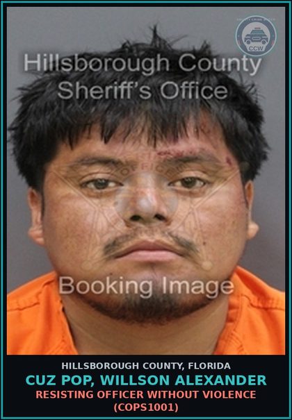 CCW arrest card for CUZ POP, WILLSON ALEXANDER in Hillsborough County: RESISTING OFFICER WITHOUT VIOLENCE (COPS1001)