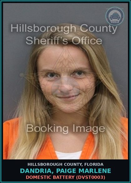 CCW arrest card for DANDRIA, PAIGE MARLENE in Hillsborough County: DOMESTIC BATTERY (DVST0003)