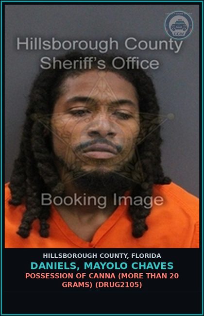 CCW arrest card for DANIELS, MAYOLO CHAVES in Hillsborough County: POSSESSION OF Canna (MORE THAN 20 GRAMS) (DRUG2105)