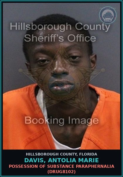 CCW arrest card for DAVIS, ANTOLIA MARIE in Hillsborough County: TRESPASS ON PROPERTY OTHER THAN STRUCTURE OR CONVEYANCE (TRES4006)