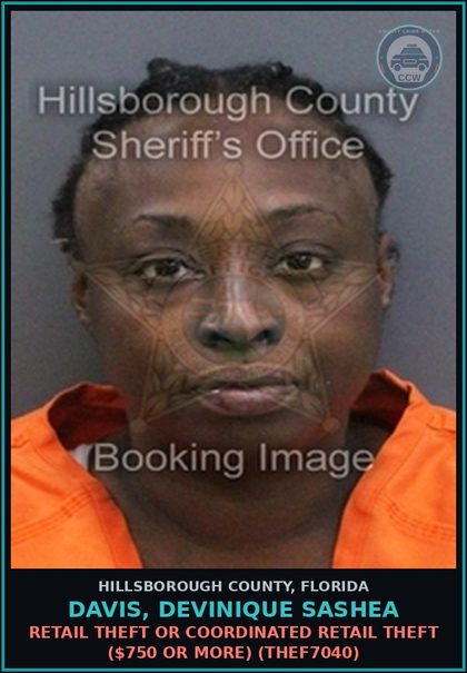 CCW arrest card for DAVIS, DEVINIQUE SASHEA in Hillsborough County: RETAIL THEFT OR COORDINATED RETAIL THEFT ($750 OR MORE) (THEF7040)