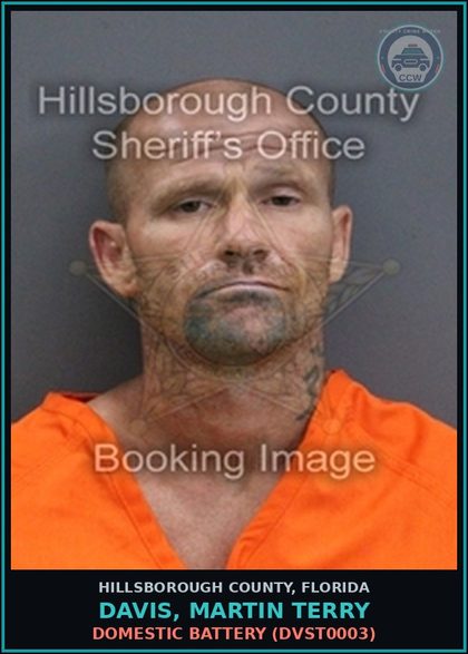CCW arrest card for DAVIS, MARTIN TERRY in Hillsborough County: CRIMINAL MISCHIEF (MORE THAN $200, LESS THAN $1,000) (CRMS2000)