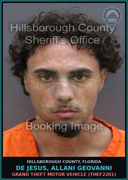 CCW arrest card for DE JESUS, ALLANI GEOVANNI in Hillsborough County: GRAND THEFT MOTOR VEHICLE (THEF2201)