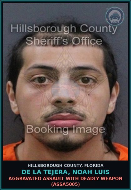 CCW arrest card for DE LA TEJERA, NOAH LUIS in Hillsborough County: AGGRAVATED ASSAULT WITH DEADLY WEAPON (ASSA5005)