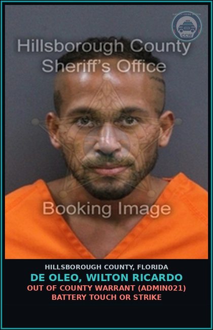 CCW arrest card for DE OLEO, WILTON RICARDO in Hillsborough County: POSSESSION OF contr substance (DRUG9101)