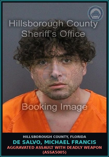 CCW arrest card for DE SALVO, MICHAEL FRANCIS in Hillsborough County: USE OF FIREARM WHILE INTOXICATED (ALCOHOL) (WEAP3061)