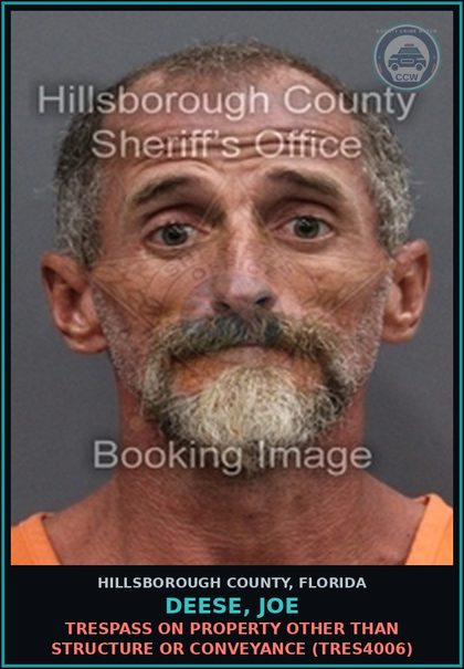 CCW arrest card for DEESE, JOE in Hillsborough County: TRESPASS ON PROPERTY OTHER THAN STRUCTURE OR CONVEYANCE (TRES4006)