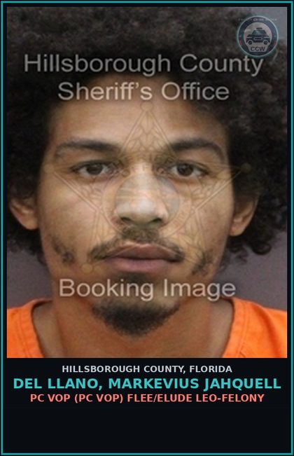 CCW arrest card for DEL LLANO, MARKEVIUS JAHQUELL in Hillsborough County: FALSE NAME TO LAW ENFORCEMENT OFFICER (COPS2060)