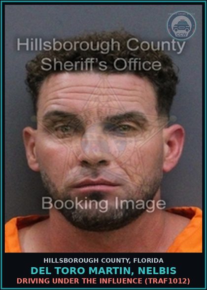 CCW arrest card for DEL TORO MARTIN, NELBIS in Hillsborough County: DRIVING UNDER THE INFLUENCE (TRAF1012)