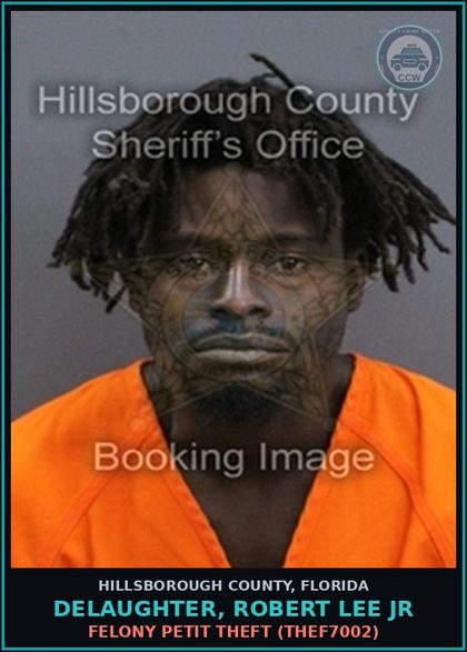 CCW arrest card for DELAUGHTER, ROBERT LEE JR in Hillsborough County: FELONY PETIT THEFT (THEF7002)