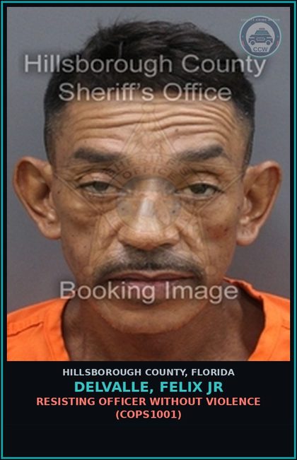 CCW arrest card for DELVALLE, FELIX JR in Hillsborough County: FALSE NAME TO LAW ENFORCEMENT OFFICER (COPS2060)