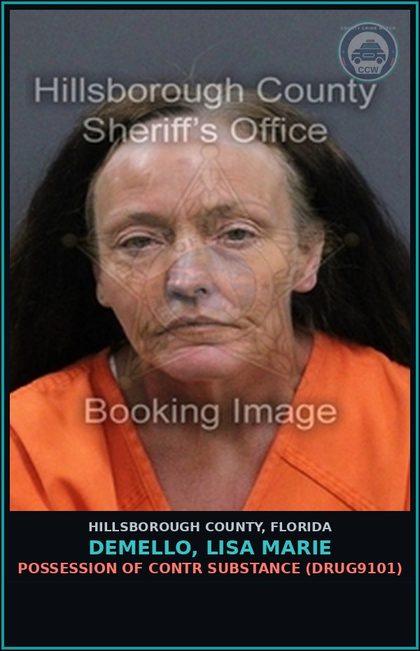 CCW arrest card for DEMELLO, LISA MARIE in Hillsborough County: POSSESSION OF contr substance (DRUG9101)