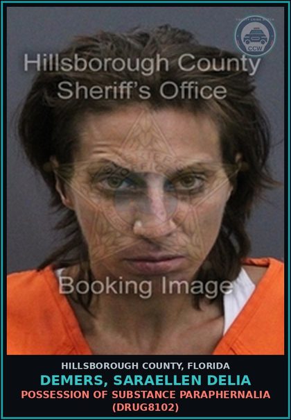CCW arrest card for DEMERS, SARAELLEN DELIA in Hillsborough County: POSSESSION OF DRUG PARAPHERNALIA (DRUG8102)