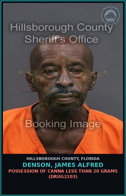CCW arrest card for DENSON, JAMES ALFRED in Hillsborough County: TAMPERING WITH PHYSICAL EVIDENCE (TAMP4005)