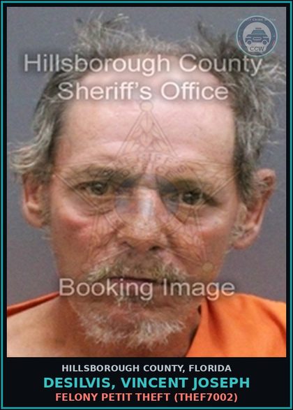 CCW arrest card for DESILVIS, VINCENT JOSEPH in Hillsborough County: FELONY PETIT THEFT (THEF7002)