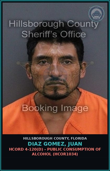 CCW arrest card for DIAZ GOMEZ, JUAN in Hillsborough County: HCORD 4-120(D) - PUBLIC CONSUMPTION OF ALCOHOL (HCOR1034)