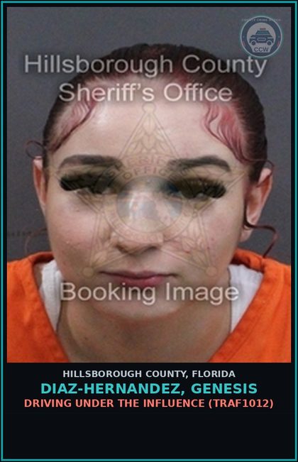 CCW arrest card for DIAZ-HERNANDEZ, GENESIS in Hillsborough County: DRIVING UNDER THE INFLUENCE (TRAF1012)